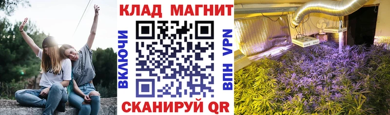 Где купить Оханск COCAIN  Гашиш  Каннабис 